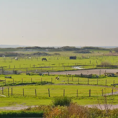 Ney Loft Auf Norderney *